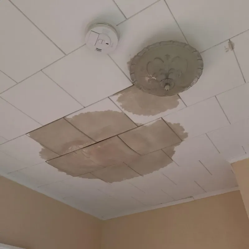 Ceiling Water Damage Repair in Cuba, MO
