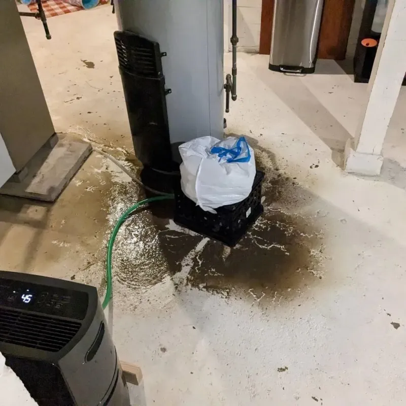 Sewage Backup Cleanup Service in Cuba, MO